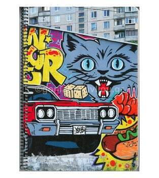 HERLITZ ΤΕΤΡΑΔΙΟ ΣΠΙΡΑΛ 17x25cm 2Θ GRAFFITI 60Φ 1681423