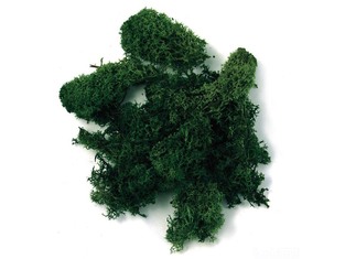 RAYHER ΒΡΥΑ ΧΟΡΤΟ ΦΥΣΙΚΟ ΠΡΑΣΙΝΟ ΣΚΟΥΡΟ 30GR 8500413