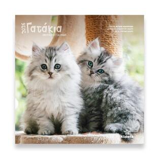 2026 ΗΜΕΡΟΛΟΓΙΟ ΤΟΙΧΟΥ 30x30cm ΓΑΤΑΚΙΑ 26005 (ΣΙΟΥΡΤΗΣ)