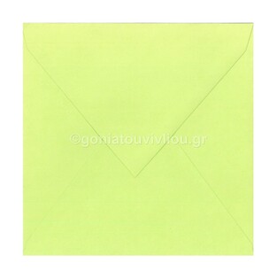 CLAIREFONTAINE POLLEN ΦΑΚΕΛΟΣ 165Χ165 VERT BOURGEON ΛΑΧΑΝΙ 5473