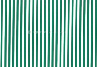 ΧΑΡΤΟΝΙ 50x70cm ΡΙΓΕ ΑΣΠΡΟ ΠΡΑΣΙΝΟ 250gr 190XP3