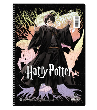 SALKO ΤΕΤΡΑΔΙΟ ΣΠΙΡΑΛ 17x25cm 4 ΘΕΜΑΤΩΝ 120φ HARRY POTTER V1 HARRY POTTER 7674