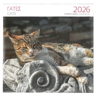 2026 ΗΜΕΡΟΛΟΓΙΟ ΤΟΙΧΟΥ 28x28cm ΓΑΤΑ ΚΑΦΕ (ΜΙΛΗΤΟΣ)