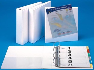 ΦΡΑΓΚΗΣ ΚΛΑΣΕΡ ΠΑΡΟΥΣΙΑΣΗΣ 26x32cm 4cm ΡΑΧΗ ΜΕ 4 ΚΡΙΚΟΥΣ D ΛΕΥΚΟ ΕΠΙ4