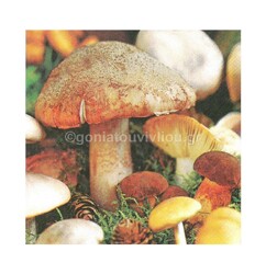Είδη Decoupage