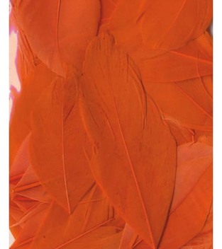 ARTEMIO ΦΤΕΡΑ ΠΟΡΤΟΚΑΛΙ 3GR 13030027