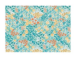 CLAIREFONTAINE POLLEN ΦΑΚΕΛΟΣ 114Χ162 PRINT CAPUCINE 55020