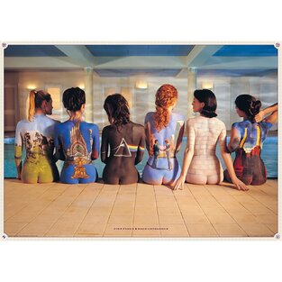 ΔΙΑΚΟΣΜΗΤΙΚΗ ΑΦΙΣΑ PINK FLOYD BACK CATALOGUE 61x91,5cm PP0505 (30)
