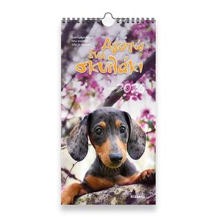 2026 ΗΜΕΡΟΛΟΓΙΟ ΤΟΙΧΟΥ ΣΠΙΡΑΛ 17x33cm ΑΓΑΠΩ ΕΝΑ ΣΚΥΛΑΚΙ 26029 (ΣΙΟΥΡΤΗΣ)