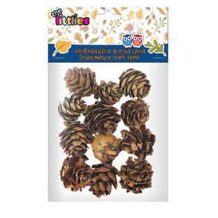 THE LITTLIES ΑΠΟΞΗΡΑΜΕΝΑ ΚΟΥΚΟΥΝΑΡΙΑ 12τεμ 4620173