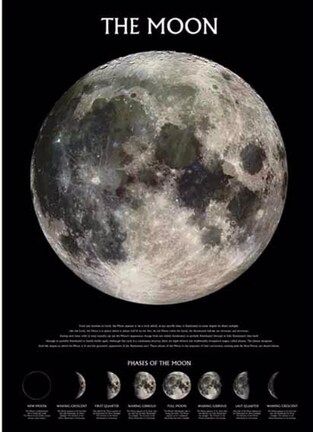 ΔΙΑΚΟΣΜΗΤΙΚΗ ΑΦΙΣΑ THE MOON PHASES 61x91,5cm PP0432 (155)
