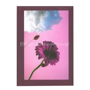 2026 ΗΜΕΡΟΛΟΓΙΟ ΗΜΕΡΗΣΙΟ ΥΠΟΚΙΤΡΙΝΟ 12x17cm PHOTO ΖΕΡΜΠΕΡΑ 73 (ΠΛΑΝΟΓΡΑΜΜΑ)
