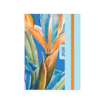 2026 ΗΜΕΡΟΛΟΓΙΟ ΗΜΕΡΗΣΙΟ ΛΟΥΛΟΥΔΙΑ 12x17cm ΠΟΡΤΟΚΑΛΙ ΛΟΥΛΟΥΔΙ ΜΕ ΛΑΣΤΙΧΟ 083 (EKDOSIS)