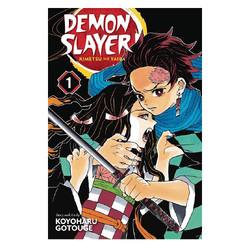 Manga & Comics