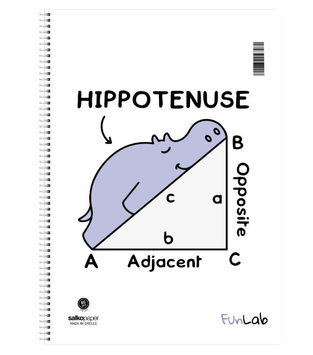SALKO ΤΕΤΡΑΔΙΟ ΣΠΙΡΑΛ A4 (21x29,7cm) 3 ΘΕΜΑΤΩΝ 90φ FUN LAB HIPPOTENUSE 4828