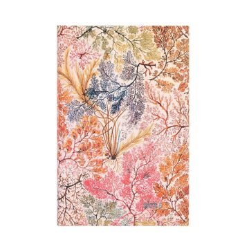 2025 ΗΜΕΡΟΛΟΓΙΟ ΕΒΔΟΜΑΔΙΑΙΟ PAPERBLANKS MIDI 13x18cm ANEMONE DED5779