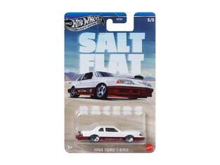MATTEL ΑΥΤΟΚΙΝΗΤΑΚΙ HOT WHEELS SILVER SERIES SALT FLAT RACERS 1988 FORD T BIRD 5 / 5 HRT81