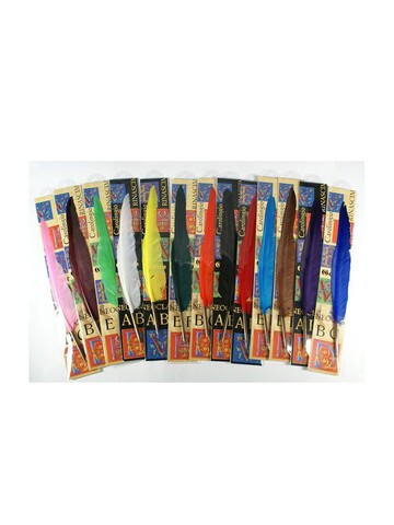 ΚΟΝΔΥΛΟΦΟΡΟΣ ΠΕΝΑ ΜΕ ΦΤΕΡΟ ΚΟΚΚΙΝΟ BL1531