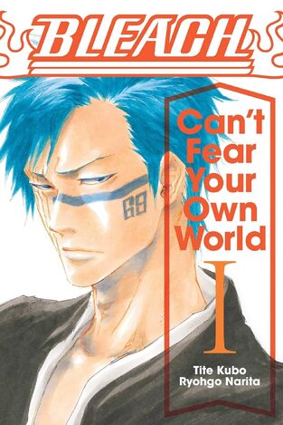 BLEACH CANT FEAR YOUR OWN WORLD VOLUME 1 (KUBO) (ΑΓΓΛΙΚΑ) (PAPERBACK)