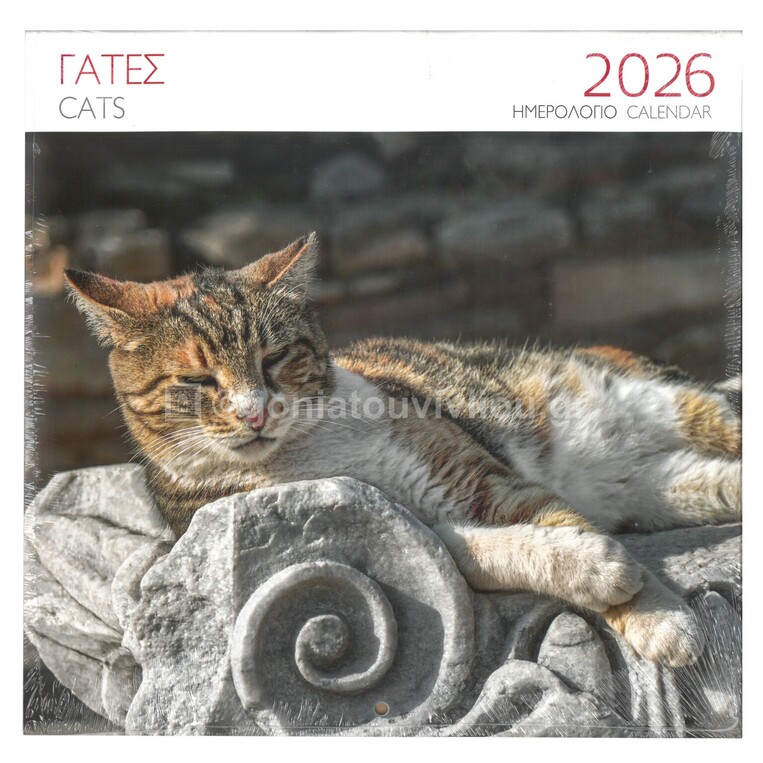 2026 ΗΜΕΡΟΛΟΓΙΟ ΤΟΙΧΟΥ 28x28cm ΓΑΤΑ ΚΑΦΕ (ΜΙΛΗΤΟΣ)