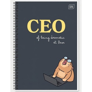 INTERDRUK ΤΕΤΡΑΔΙΟ ΣΠΙΡΑΛ A4 (21x29,7cm) 2 ΘΕΜΑΤΩΝ 60φ MEME CATS CEO ΓΚΡΙ