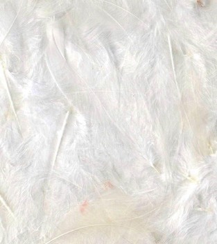 ARTEMIO ΠΟΥΠΟΥΛΑ ΛΕΥΚΑ 3GR 13030019