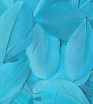 ARTEMIO ΦΤΕΡΑ ΤΥΡΚΟΥΑΖ 3GR 1213030026