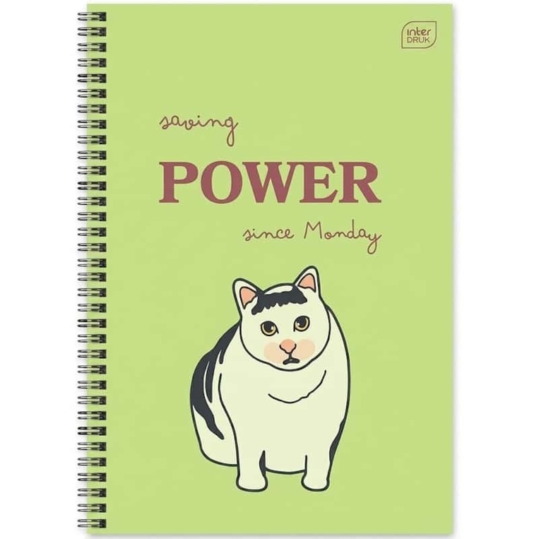 INTERDRUK ΤΕΤΡΑΔΙΟ ΣΠΙΡΑΛ A4 (21x29,7cm) 3 ΘΕΜΑΤΩΝ 90φ MEME CATS POWER ΠΡΑΣΙΝΟ