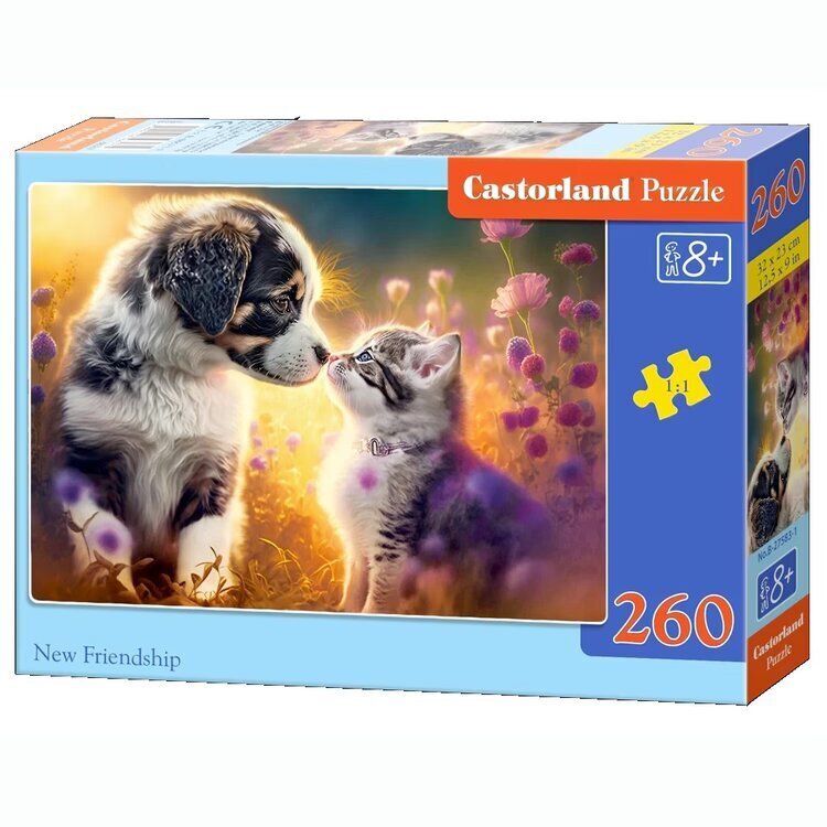 CASTORLAND ΠΑΖΛ 260 ΤΕΜΑΧΙΩΝ NEW FRIENDSHIP 275831