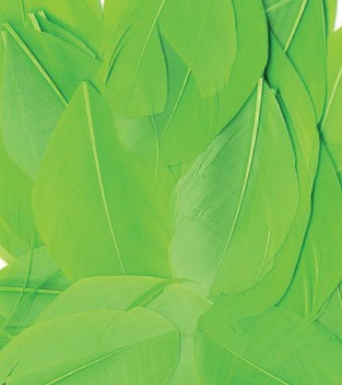 ARTEMIO ΦΤΕΡΑ ΛΑΧΑΝΙ 3GR 13030025