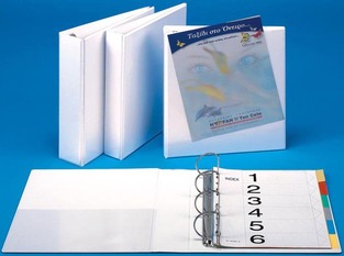 ΦΡΑΓΚΗΣ ΚΛΑΣΕΡ ΠΑΡΟΥΣΙΑΣΗΣ 32x26x7cm ΜΕ 4 ΚΡΙΚΟΥΣ D ΛΕΥΚΟ
