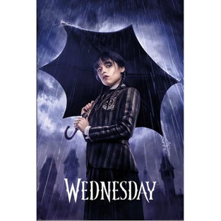 ΔΙΑΚΟΣΜΗΤΙΚΗ ΑΦΙΣΑ WEDNESDAY DOWNPOUR 61x91,5cm PP35274 (44)