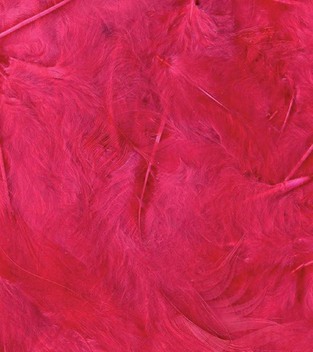 ARTEMIO ΠΟΥΠΟΥΛΑ ΦΟΥΞΙΑ 3GR 13030020