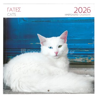 2026 ΗΜΕΡΟΛΟΓΙΟ ΤΟΙΧΟΥ 28x28cm ΓΑΤΑ ΑΣΠΡΗ (ΜΙΛΗΤΟΣ)