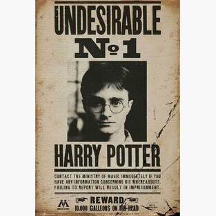 ΔΙΑΚΟΣΜΗΤΙΚΗ ΑΦΙΣΑ HARRY POTTER UNDESIDERABLE No1 61x91,5cm GPE5607 (93)
