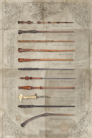 ΔΙΑΚΟΣΜΗΤΙΚΗ ΑΦΙΣΑ HARRY POTTER THE WAND CHOOSES THE WIZARD POSTER 61x91,5cm PP34395 (132)