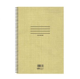 SALKO ΤΕΤΡΑΔΙΟ ΣΠΙΡΑΛ A4 (21x29,7cm) 4 ΘΕΜΑΤΩΝ 120φ COLORLINE ΜΠΕΖ 7859