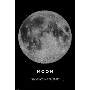 ΔΙΑΚΟΣΜΗΤΙΚΗ ΑΦΙΣΑ MOON 61x91,5cm GPE5333 (110)