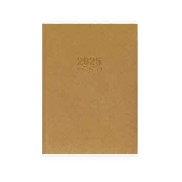 2025 ΗΜΕΡΟΛΟΓΙΟ ΗΜΕΡΗΣΙΟ FLASH 17x25cm ΧΡΥΣΟ ΜΕΤΑΛΛΙΚΟ 201 (EKDOSIS)