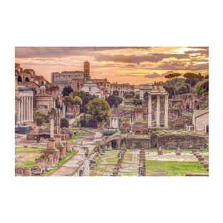 ΔΙΑΚΟΣΜΗΤΙΚΗ ΑΦΙΣΑ ROME 61x91,5cm PH0540 (139)