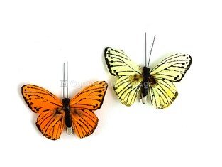 KNORR PRANDELL ΣΕΤ ΠΕΤΑΛΟΥΔΕΣ ΚΙΤΡΙΝΗ ΠΟΡΤΟΚΑΛΙ 9CM 2ΤΜΧ 268030907