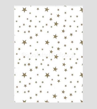 ΧΑΡΤΟΝΙ 50Χ70 ΧΡΙΣΤΟΥΓΕΝΝΙΑΤΙΚΟ ΔΙΠΛΗΣ ΟΨΗΣ ΛΕΥΚΟ ΜΕ ΧΡΥΣΑ ΑΣΤΕΡΙΑ 250GR 00