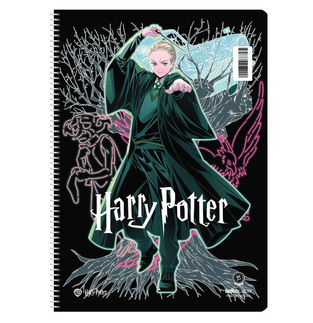 SALKO ΤΕΤΡΑΔΙΟ ΣΠΙΡΑΛ 17x25cm 4 ΘΕΜΑΤΩΝ 120φ HARRY POTTER V1 DRACO MALFOY 7674