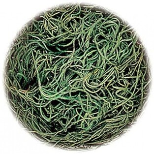 KNORR PRANDELL ΒΡΥΑ ΑΧΥΡΟ 20gr ΠΡΑΣΙΝΟ 266692478