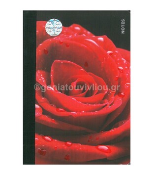 FLEXBOOK ΣΗΜΕΙΩΜΑΤΑΡΙΟ ΛΙΝΟΔΕΤΟ 11Χ17 ROSES ΜΕ ΓΡΑΜΜΕΣ 2400011
