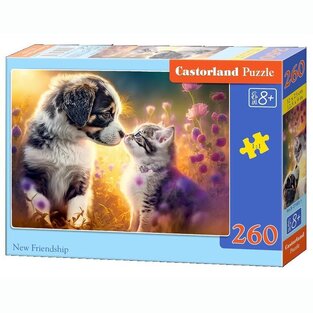 CASTORLAND ΠΑΖΛ 260 ΤΕΜΑΧΙΩΝ NEW FRIENDSHIP 275831