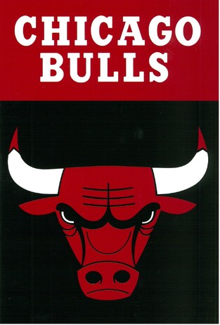 BACK ME UP NBA ΤΕΤΡΑΔΙΟ ΚΑΡΦΙΤΣΑ 17x25cm 40φ CHICAGO BULLS 33894400
