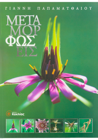 (ΠΡΟΣΦΟΡΑ -30%) ΜΕΤΑΜΟΡΦΩΣΕΙΣ (ΠΑΠΑΜΑΤΘΑΙΟΥ)