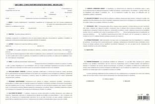 ΤΥΠΟΤΡΑΣΤ ΣΥΜΦΩΝΗΤΙΚΟ ΕΠΑΓΓΕΛΜΑΤΙΚΗΣ ΜΙΣΘΩΣΗΣ 100x1 100φ 169