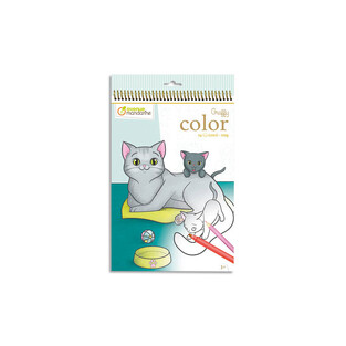 AVENUE MANDARINE GRAFFY COLOR ΜΠΛΟΚ ΖΩΓΡΑΦΙΚΗΣ ΜΕ ΠΡΟΤΥΠΩΜΕΝΑ ΣΧΕΔΙΑ 21x34cm 24φ ΓΑΤΕΣ GY105C
